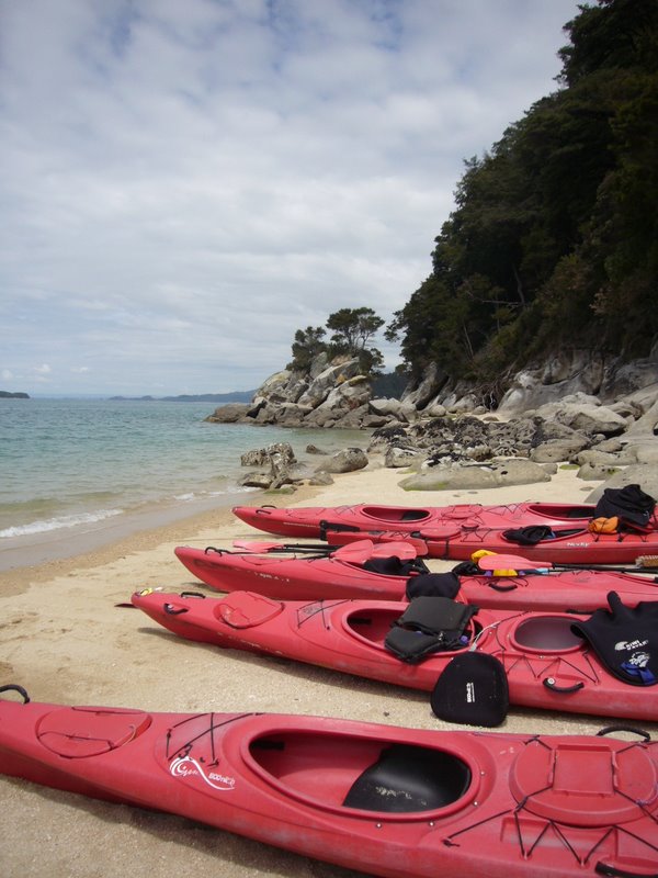 Travel - New Zealand - Abel Tasman National Park